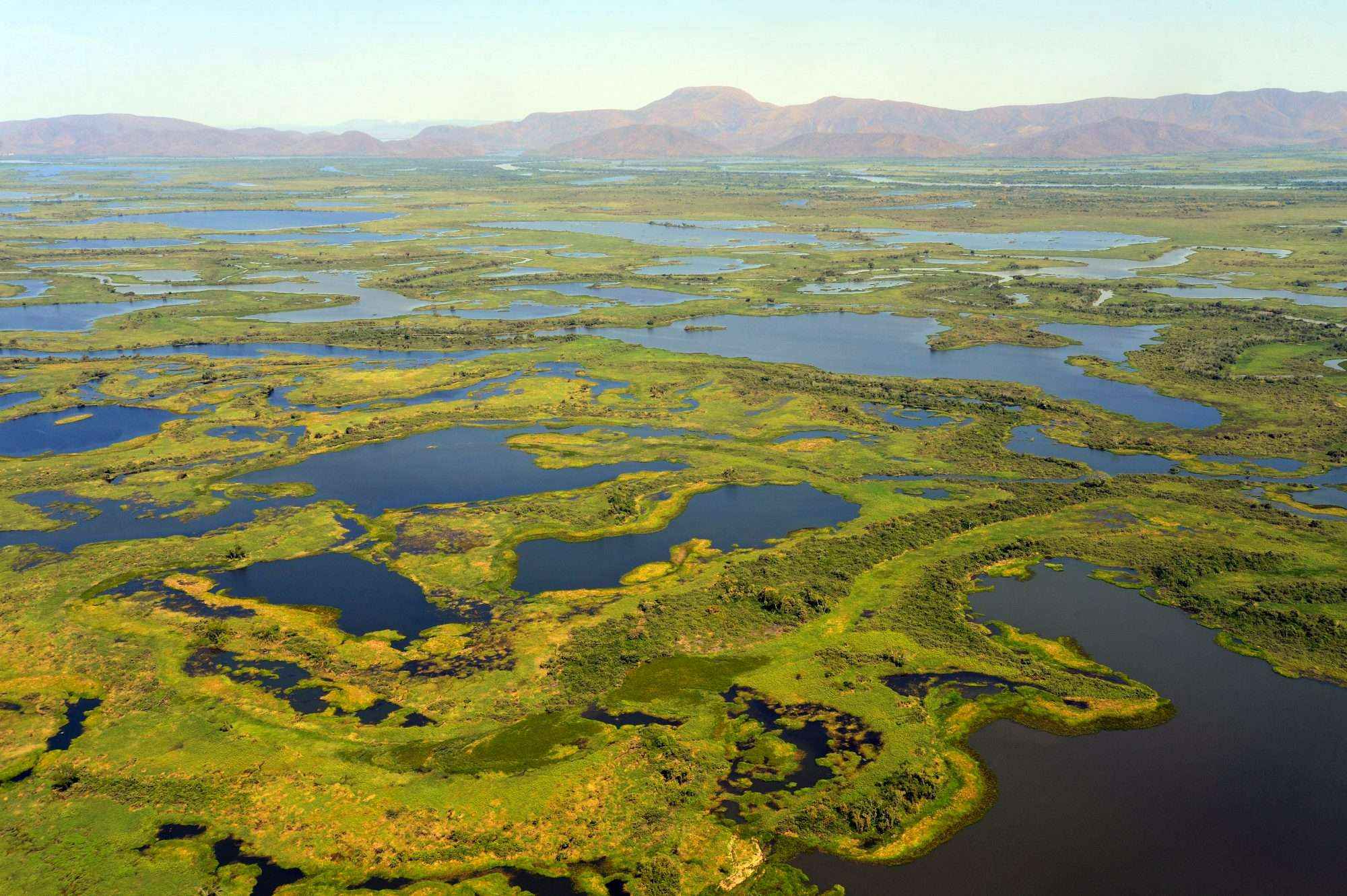 9-fascinating-facts-about-wetlands