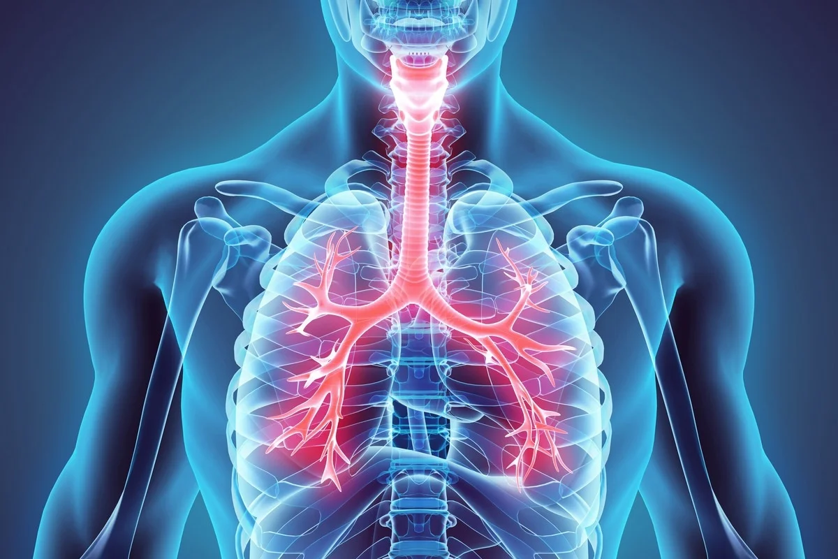 9-intriguing-facts-about-respiratory-system