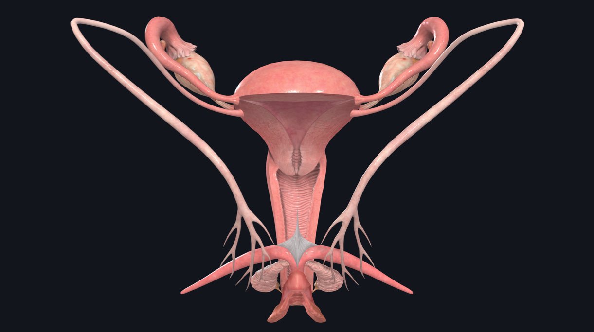 9-mind-blowing-facts-about-cervix