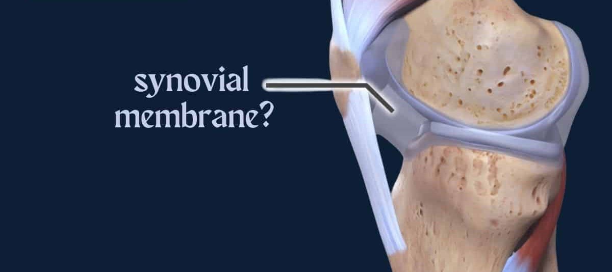 9-unbelievable-facts-about-synovial-membrane