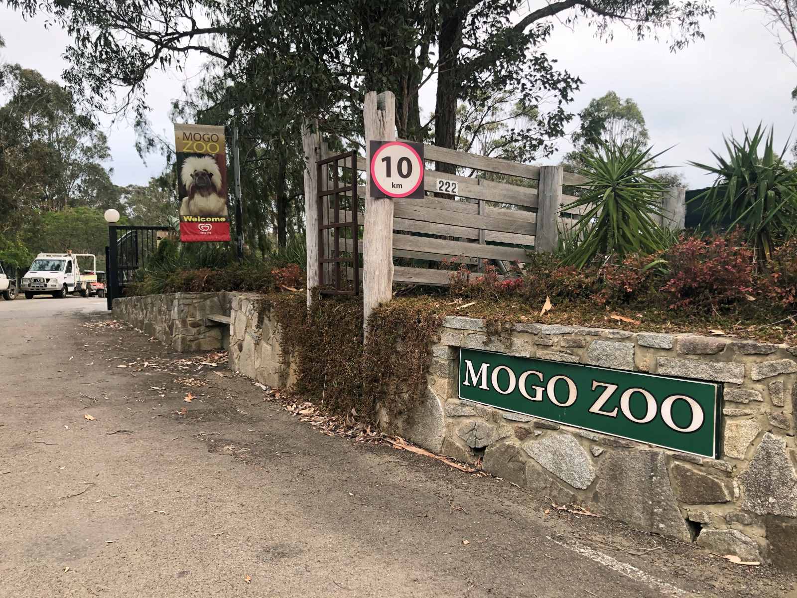 10-astonishing-facts-about-mogo-zoo