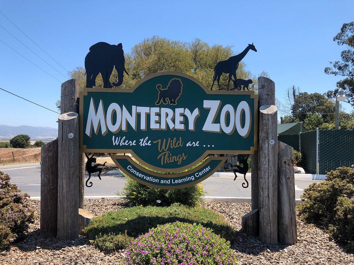 10-astonishing-facts-about-monterrey-zoo