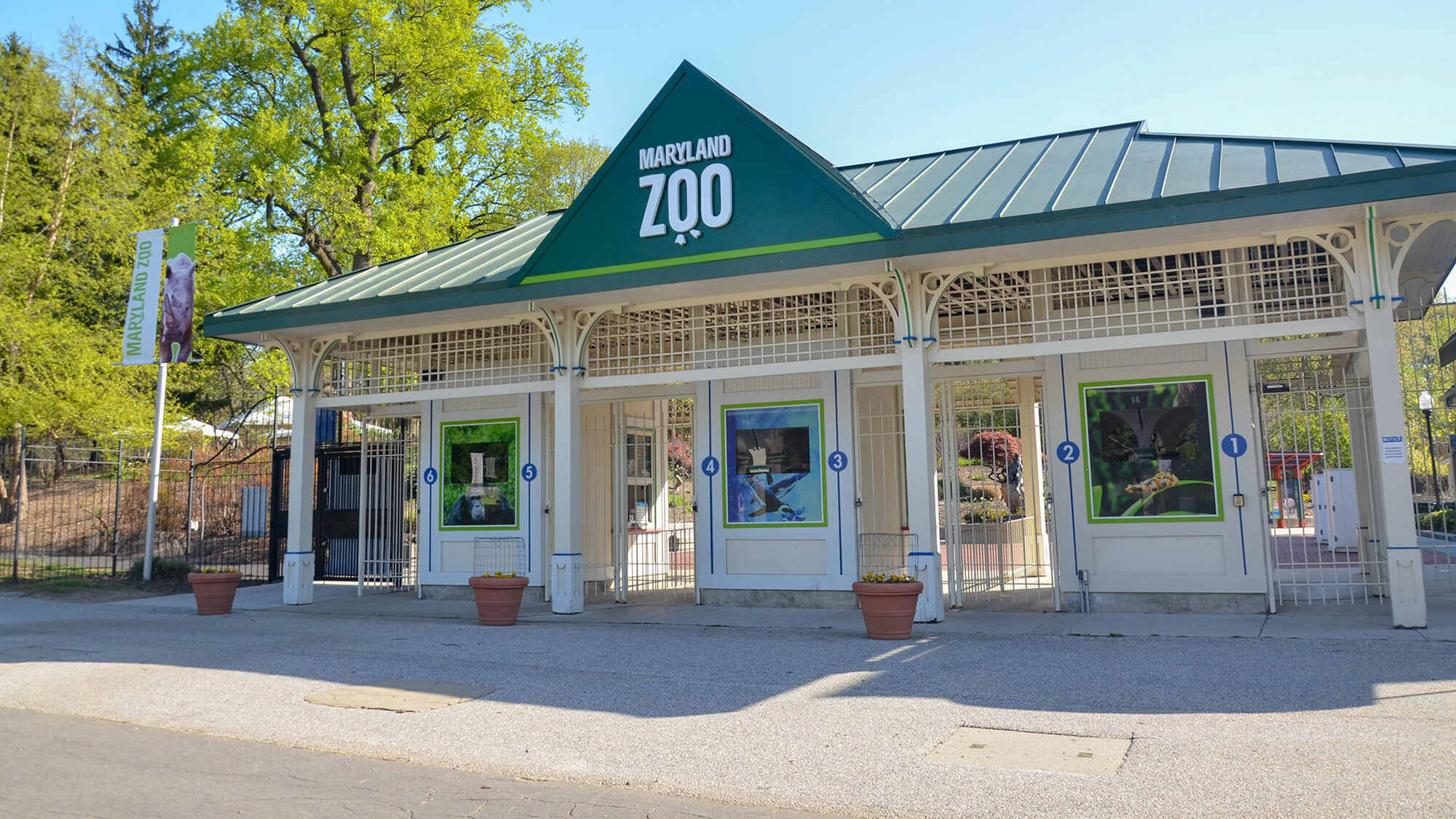 10-astounding-facts-about-baltimores-maryland-zoo