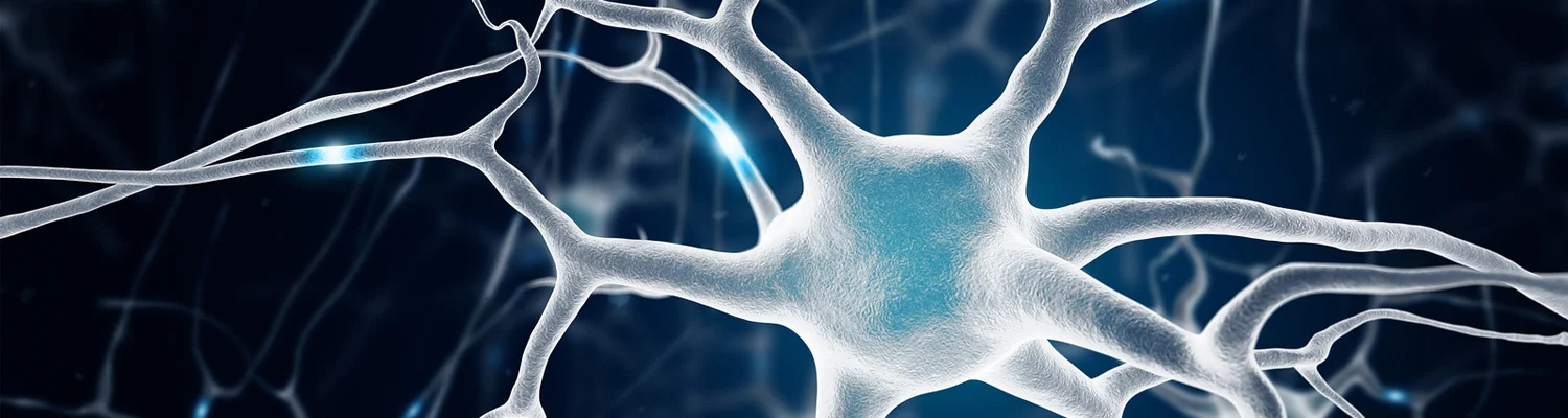 10-astounding-facts-about-neurobiology