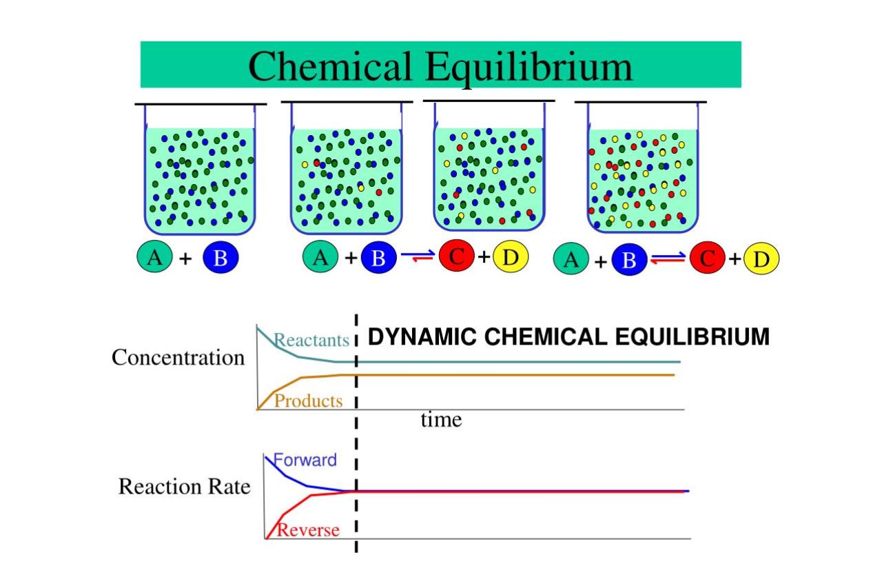 10-captivating-facts-about-chemical-equilibrium