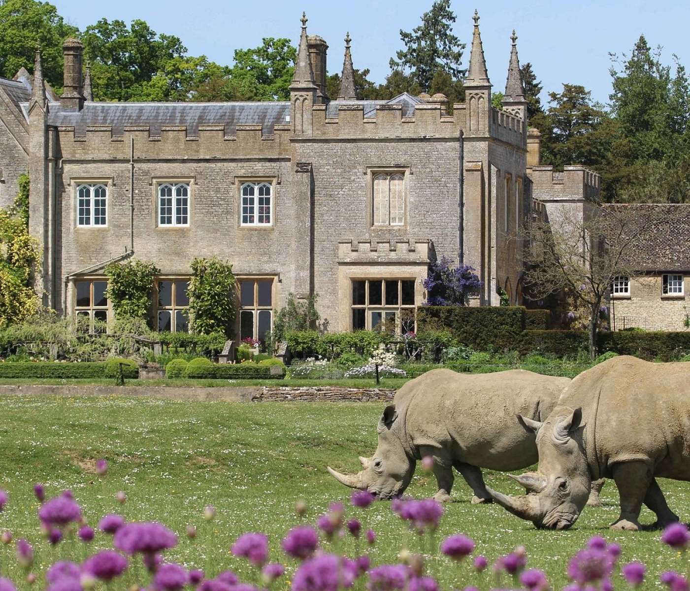 10-extraordinary-facts-about-cotswold-wildlife-park-gardens