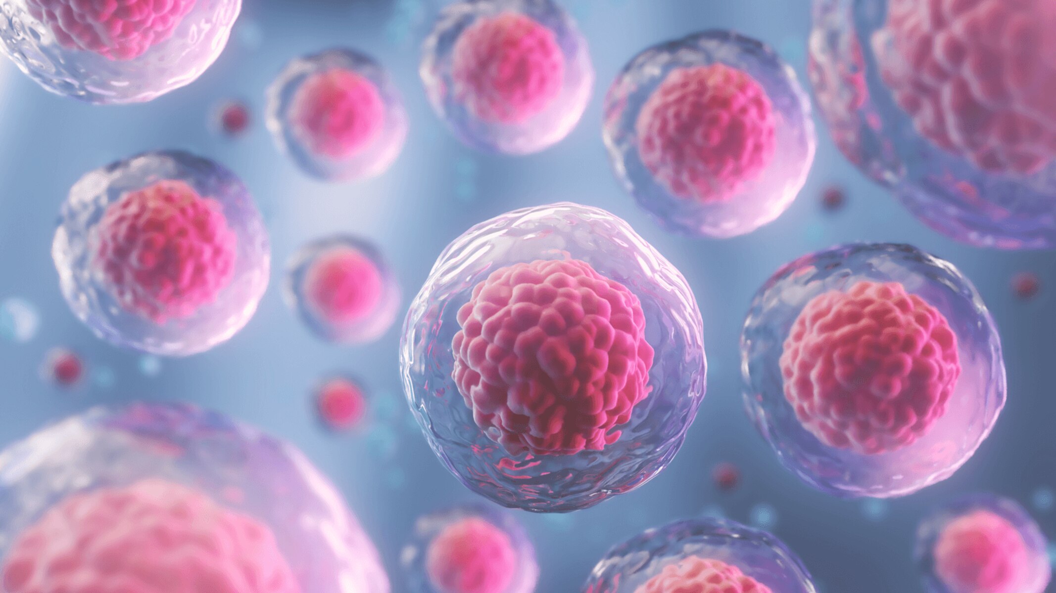 10-extraordinary-facts-about-stem-cell
