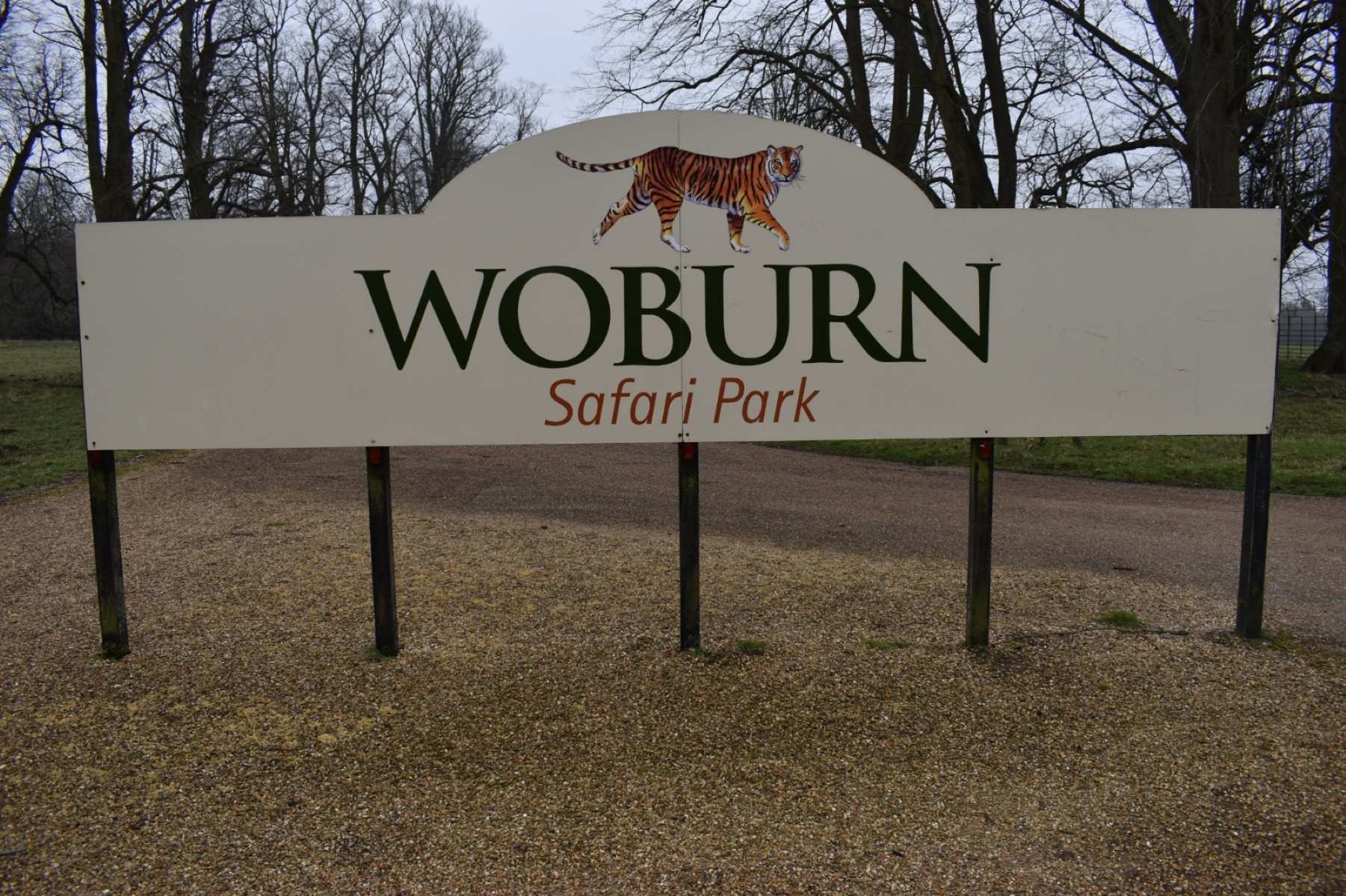 10-extraordinary-facts-about-woburn-safari-park