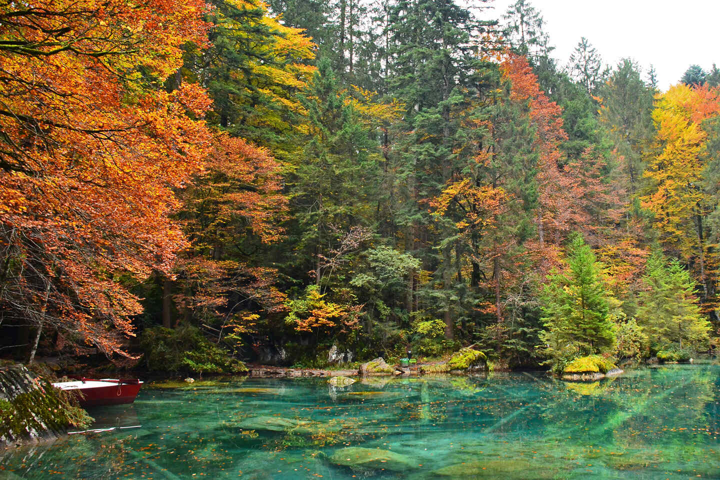 10-fascinating-facts-about-lake-blausee