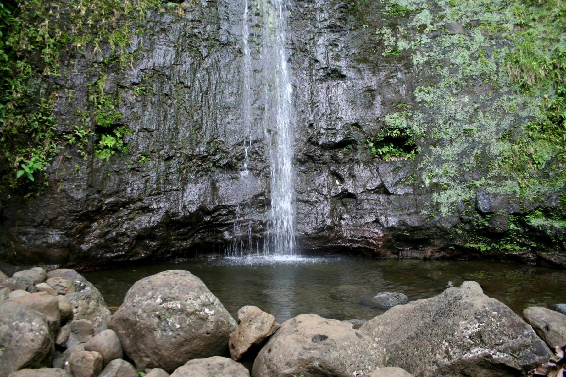 10 Mind-blowing Facts About Manoa Falls 