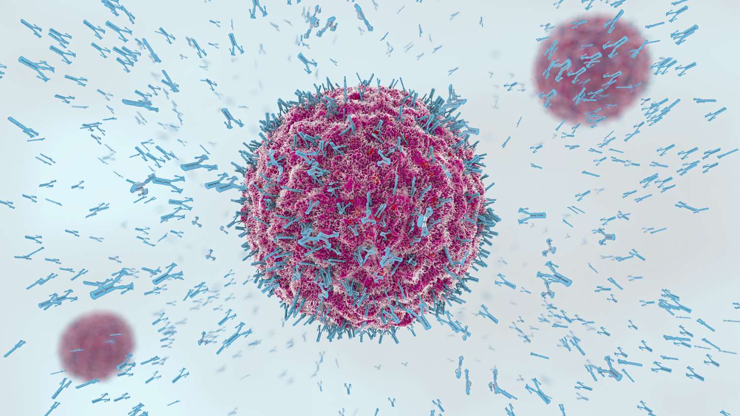 10-surprising-facts-about-b-lymphocytes