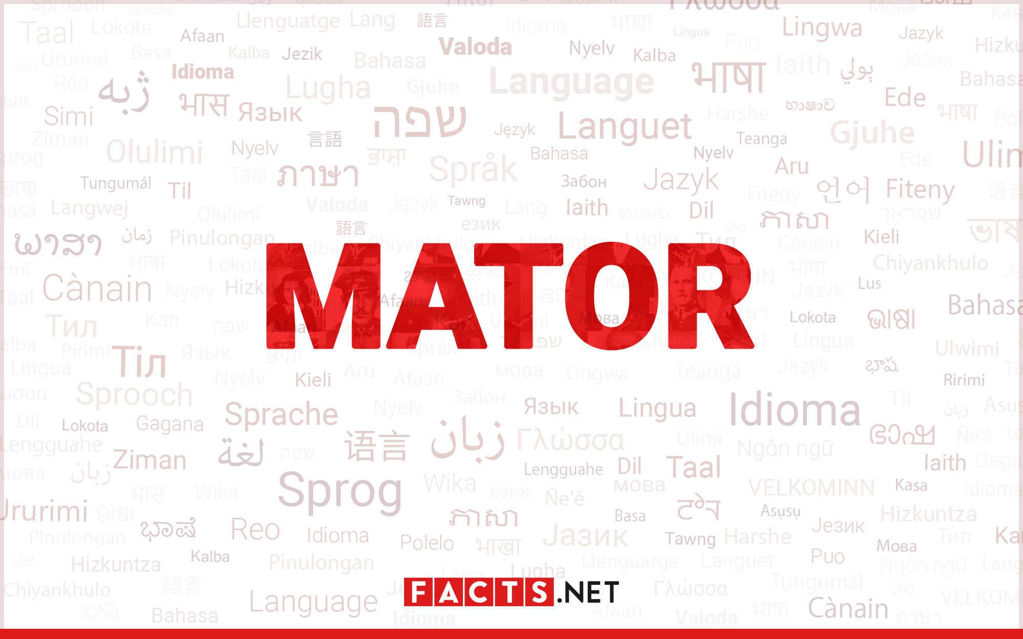 10-surprising-facts-about-mator