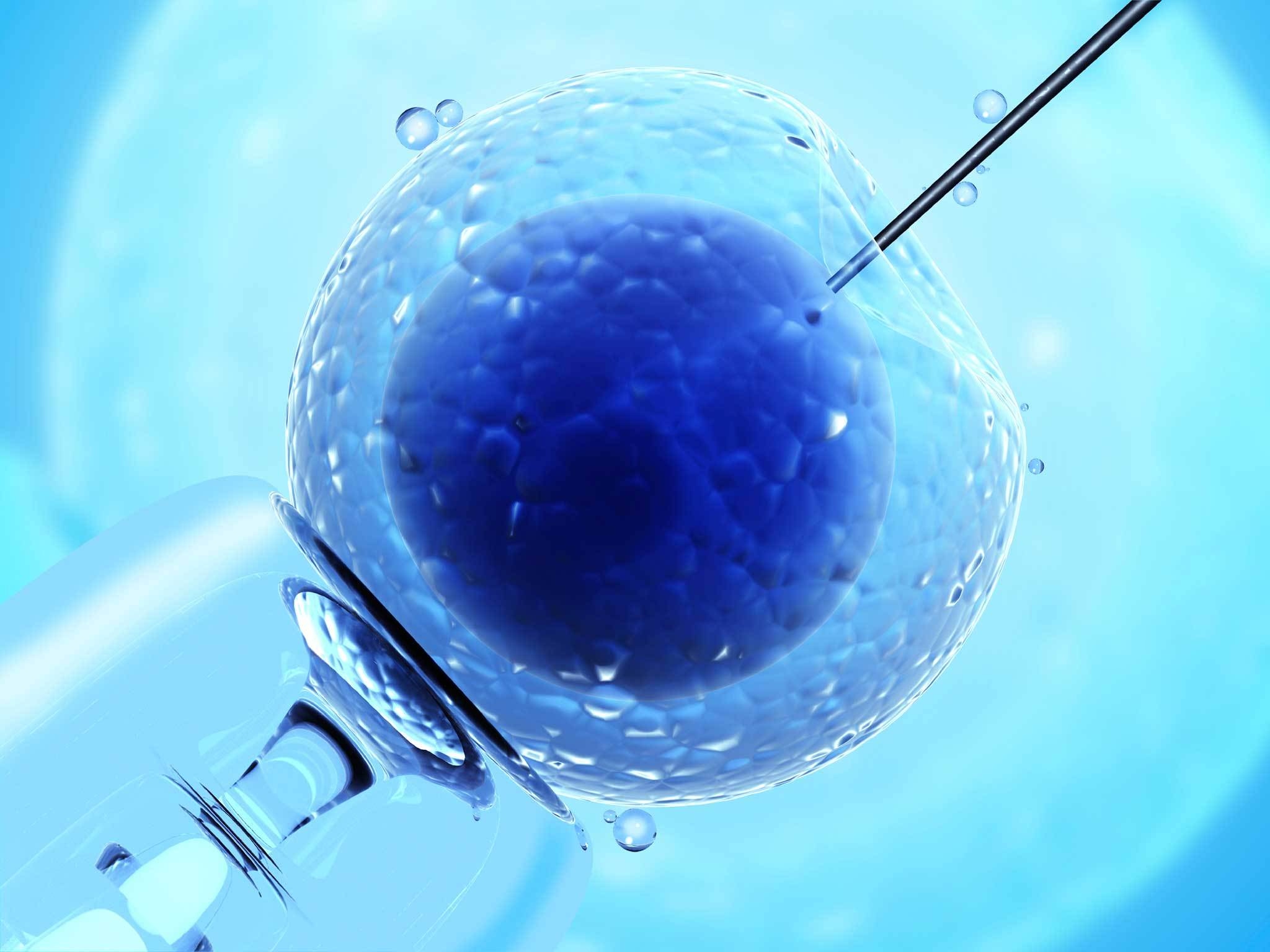 10-unbelievable-facts-about-in-vitro-fertilization-ivf
