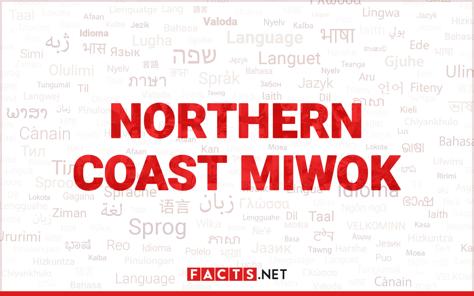 10-unbelievable-facts-about-northern-coast-miwok