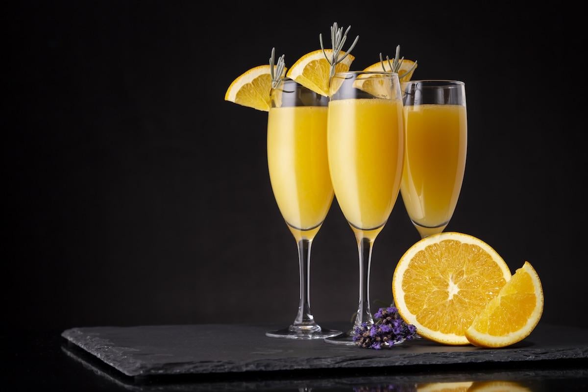 11-astonishing-facts-about-mimosa