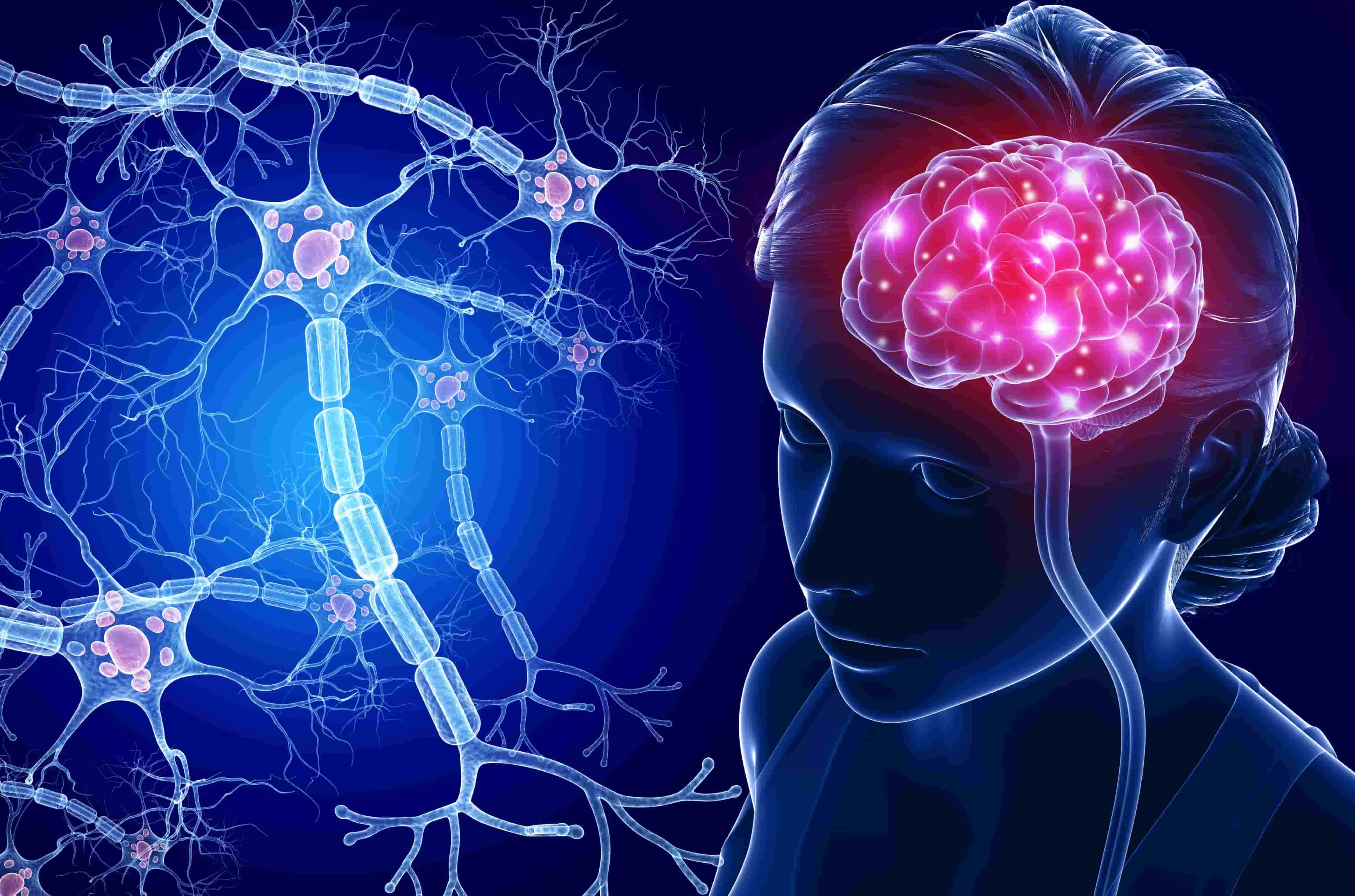 11-astounding-facts-about-central-nervous-system-disorders