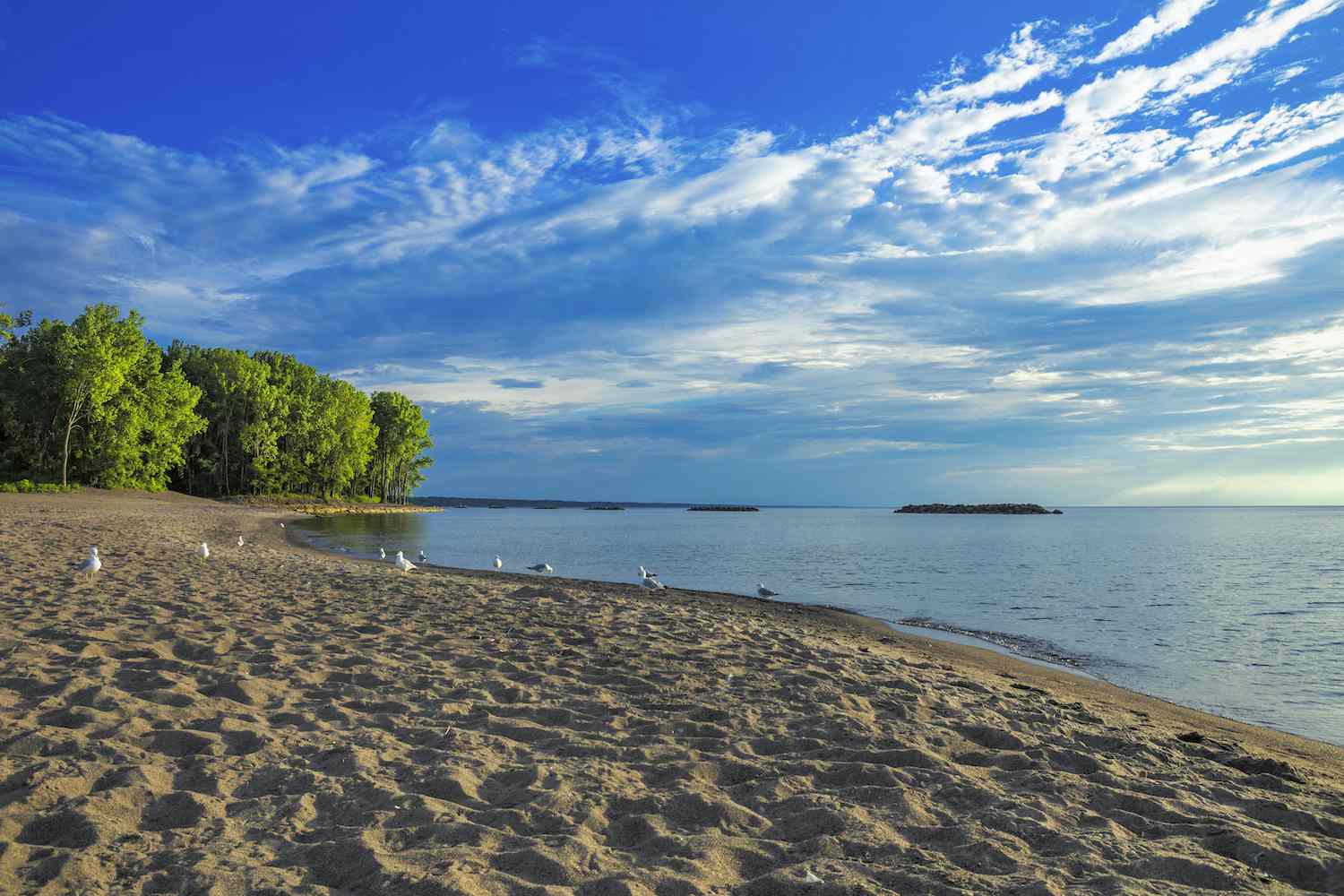 11-captivating-facts-about-erie-lake