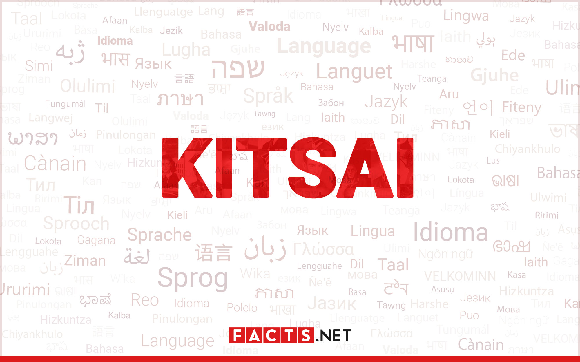 11-captivating-facts-about-kitsai