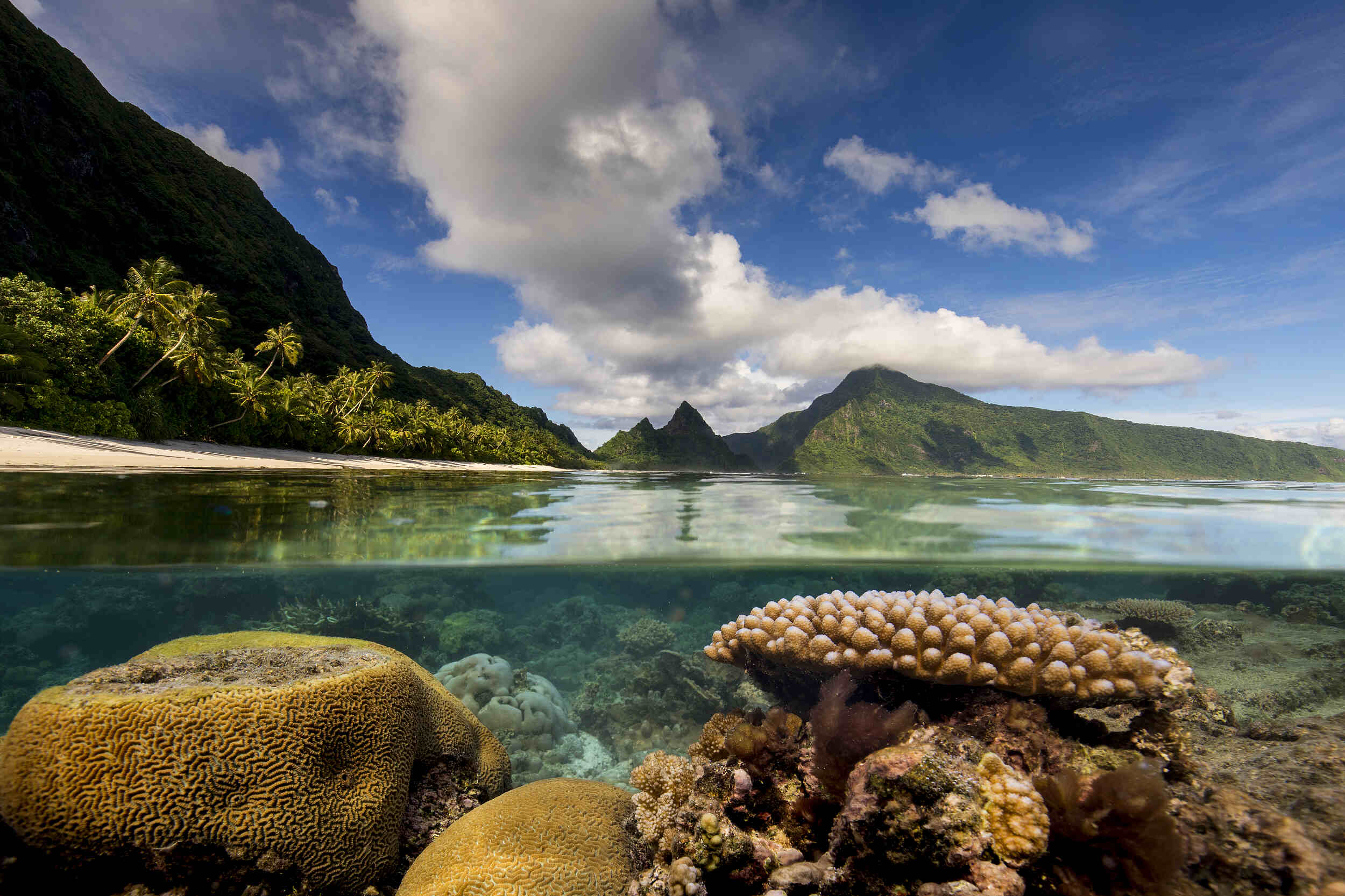 11-enigmatic-facts-about-american-samoa-reefs