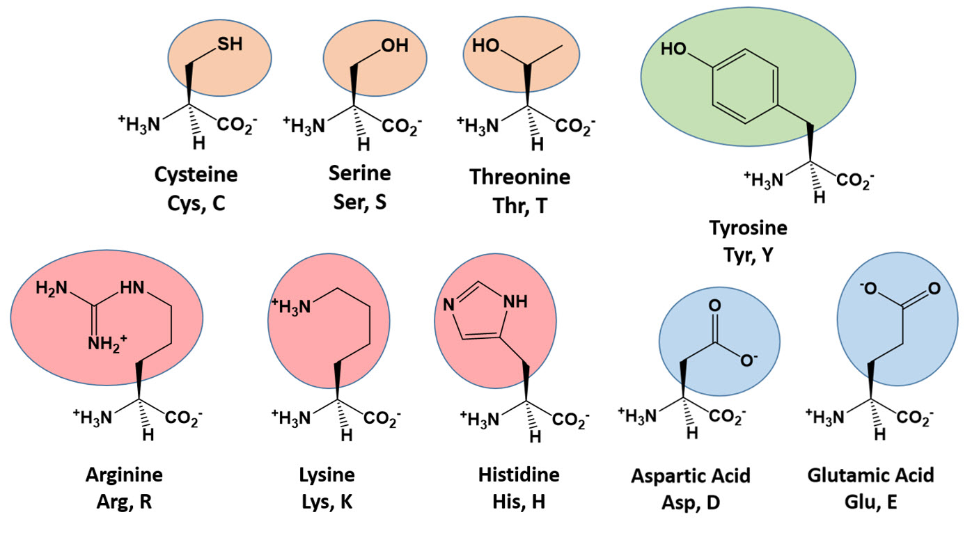 11-enigmatic-facts-about-catalysis