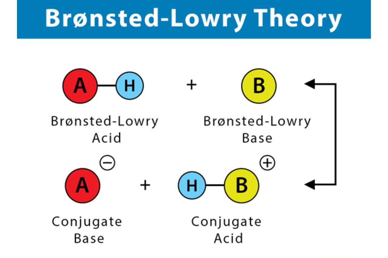 11-extraordinary-facts-about-bronsted-lowry-theory