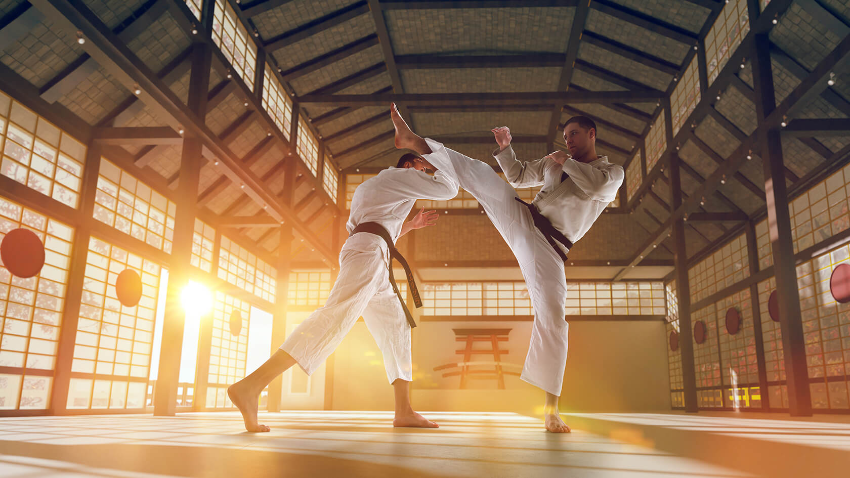 11 Extraordinary Facts About Martial Arts