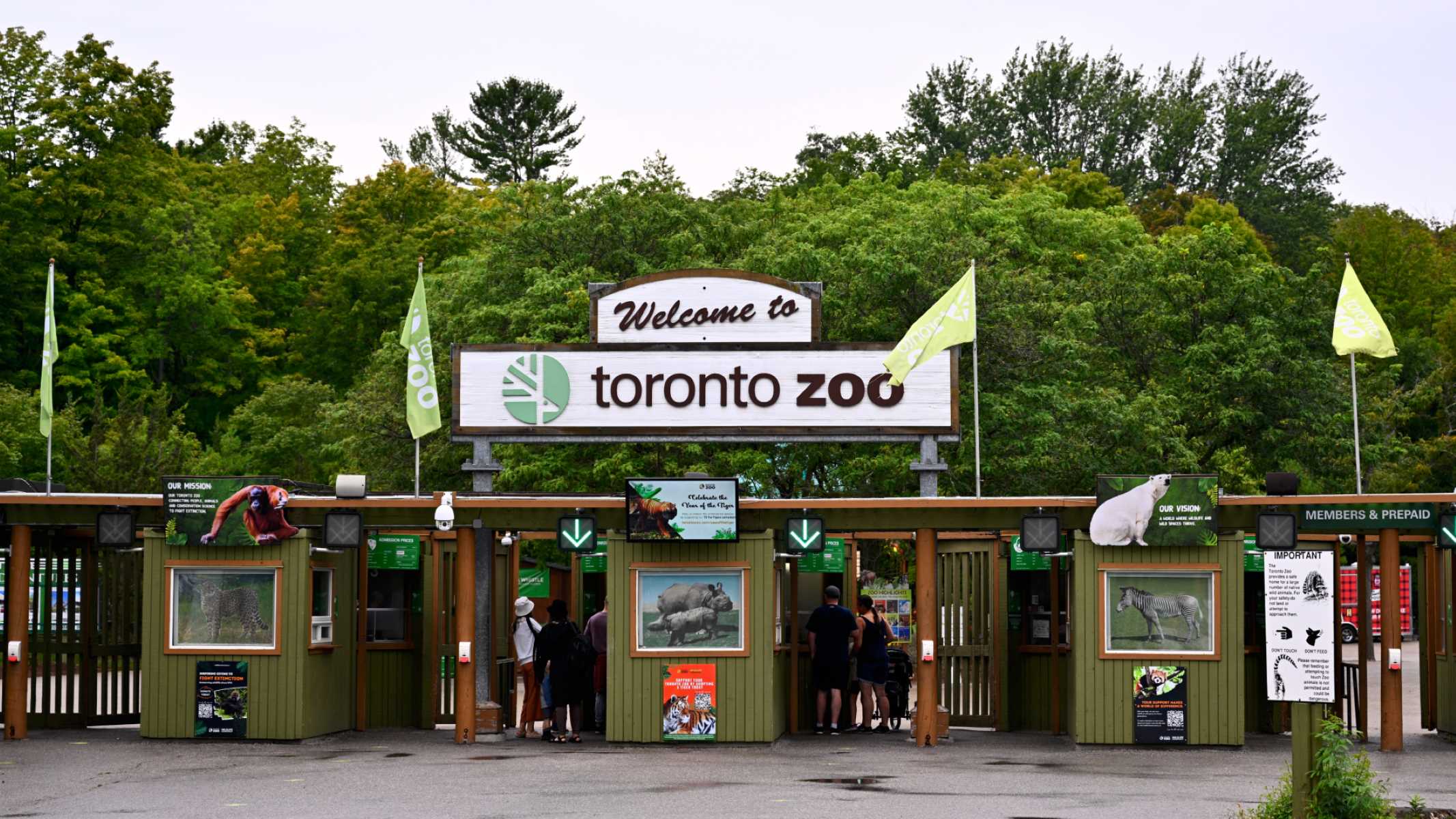 11-extraordinary-facts-about-toronto-zoo