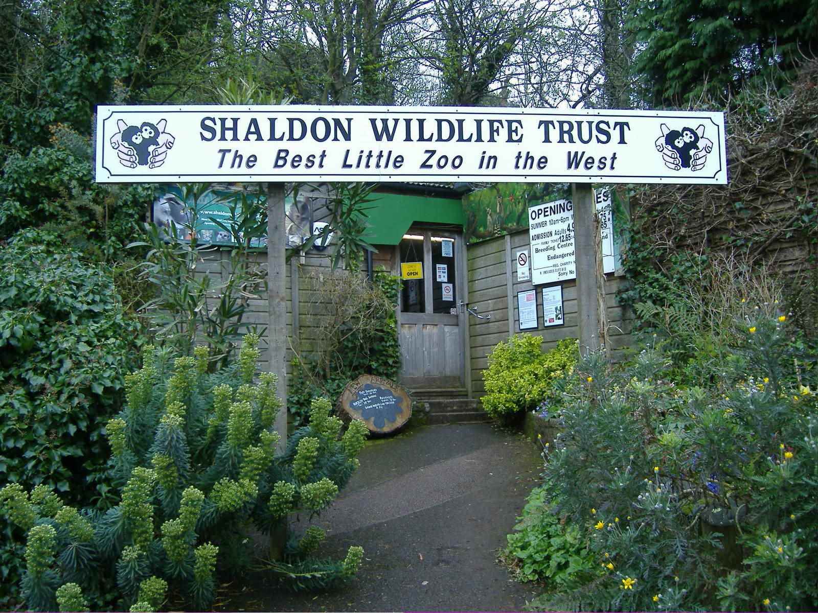 11-fascinating-facts-about-shaldon-wildlife-trust