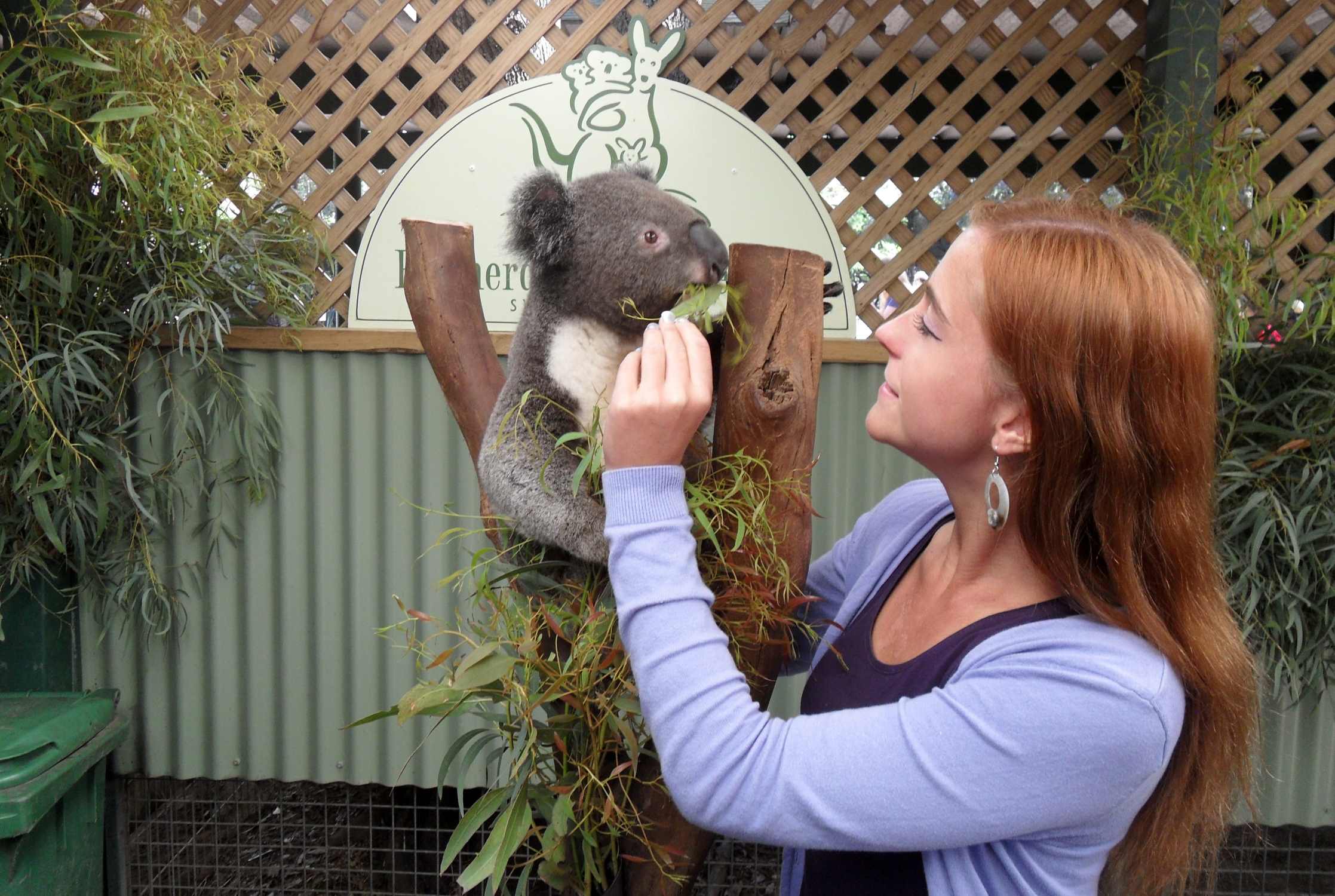 11-intriguing-facts-about-featherdale-wildlife-park