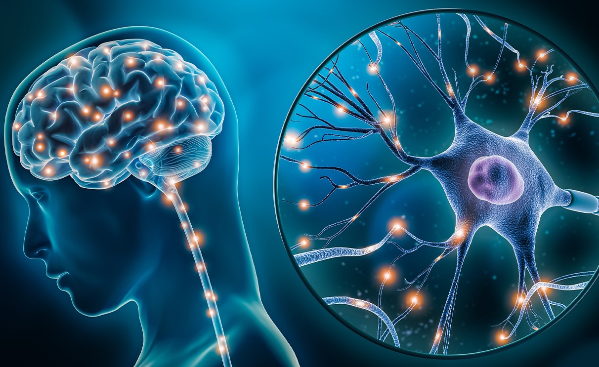 11-surprising-facts-about-neurodegenerative-diseases