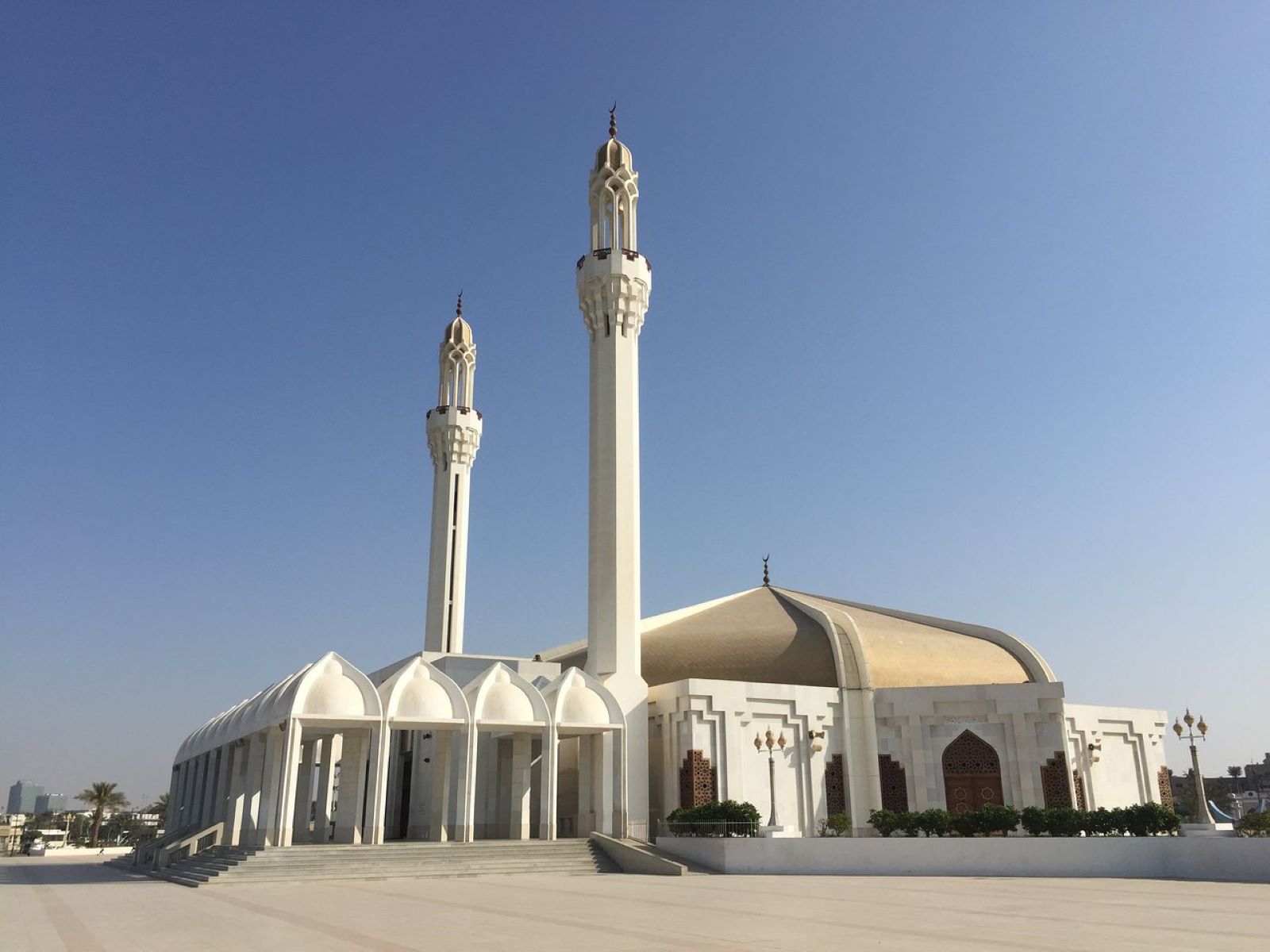 11-unbelievable-facts-about-hassan-enany-mosque
