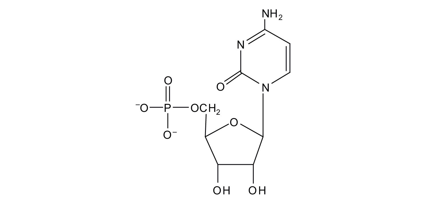 rna nucleotide structure