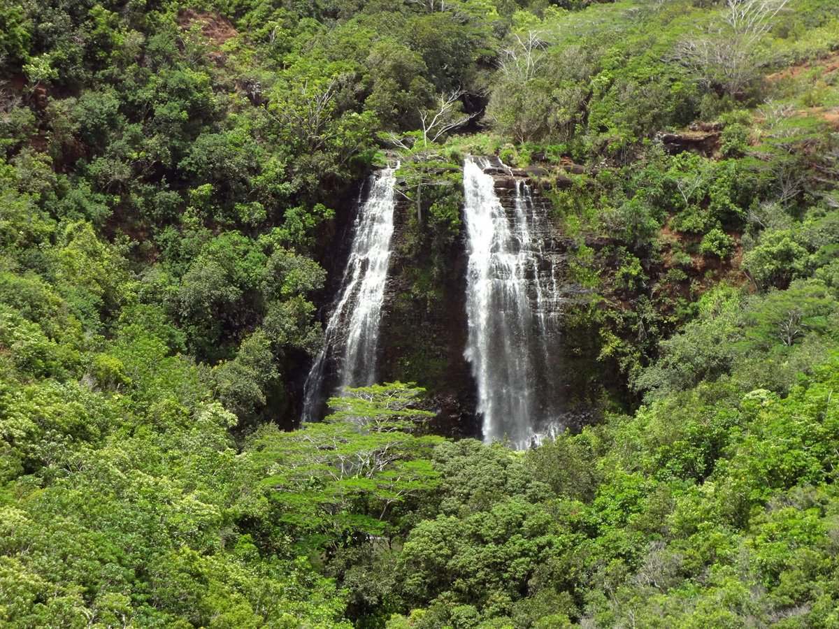 12-astonishing-facts-about-opaekaa-falls