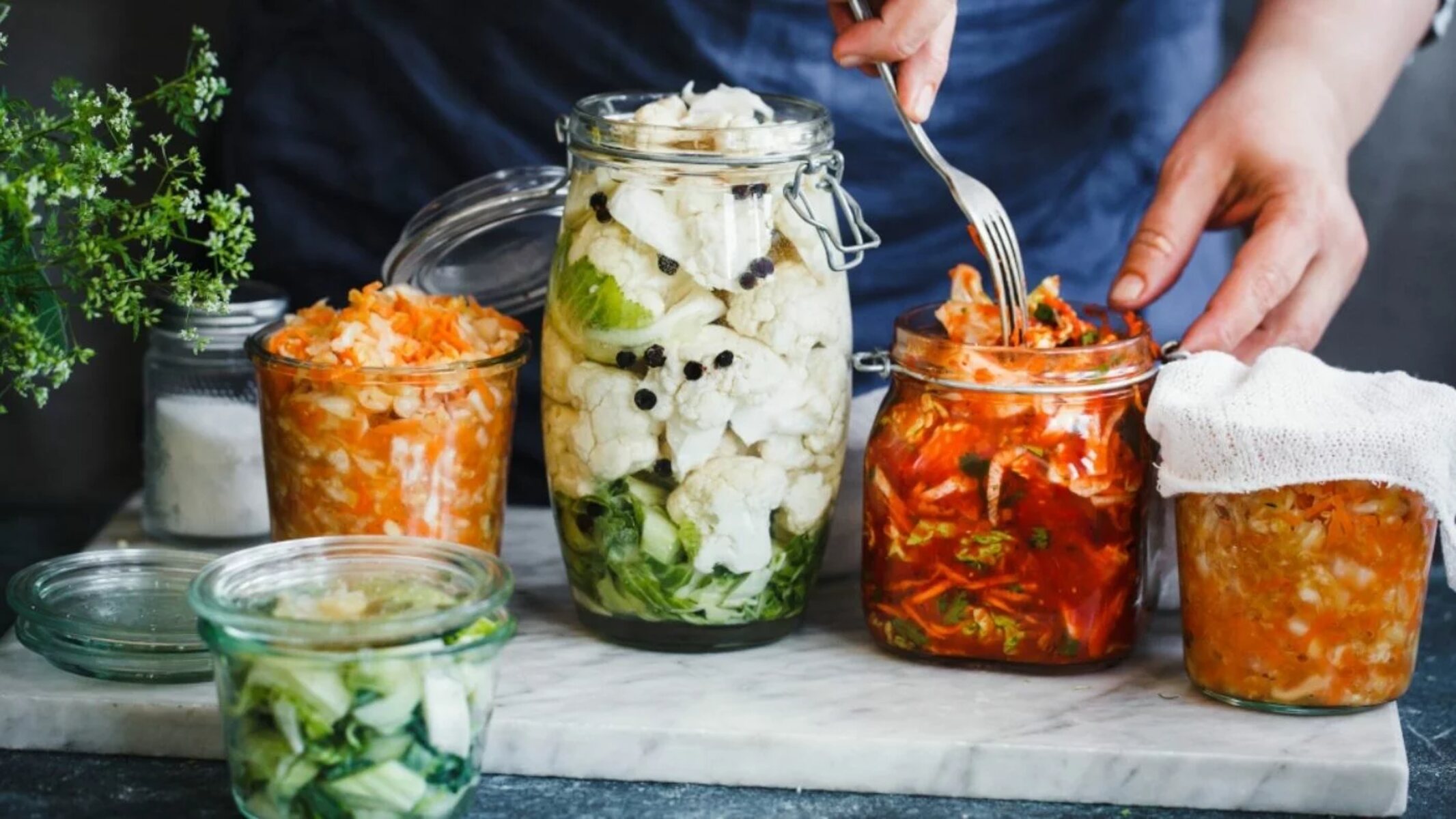 12 Astounding Facts About Food Fermentation - Facts.net