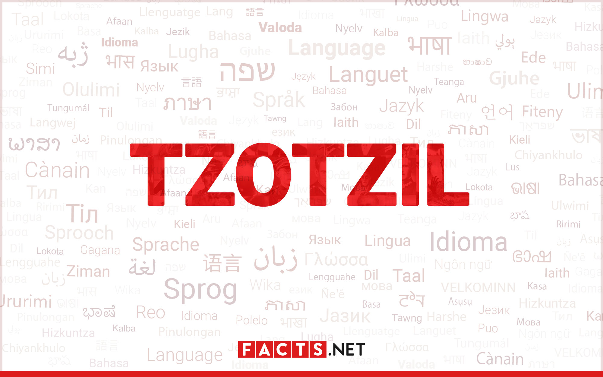 12-astounding-facts-about-tzotzil