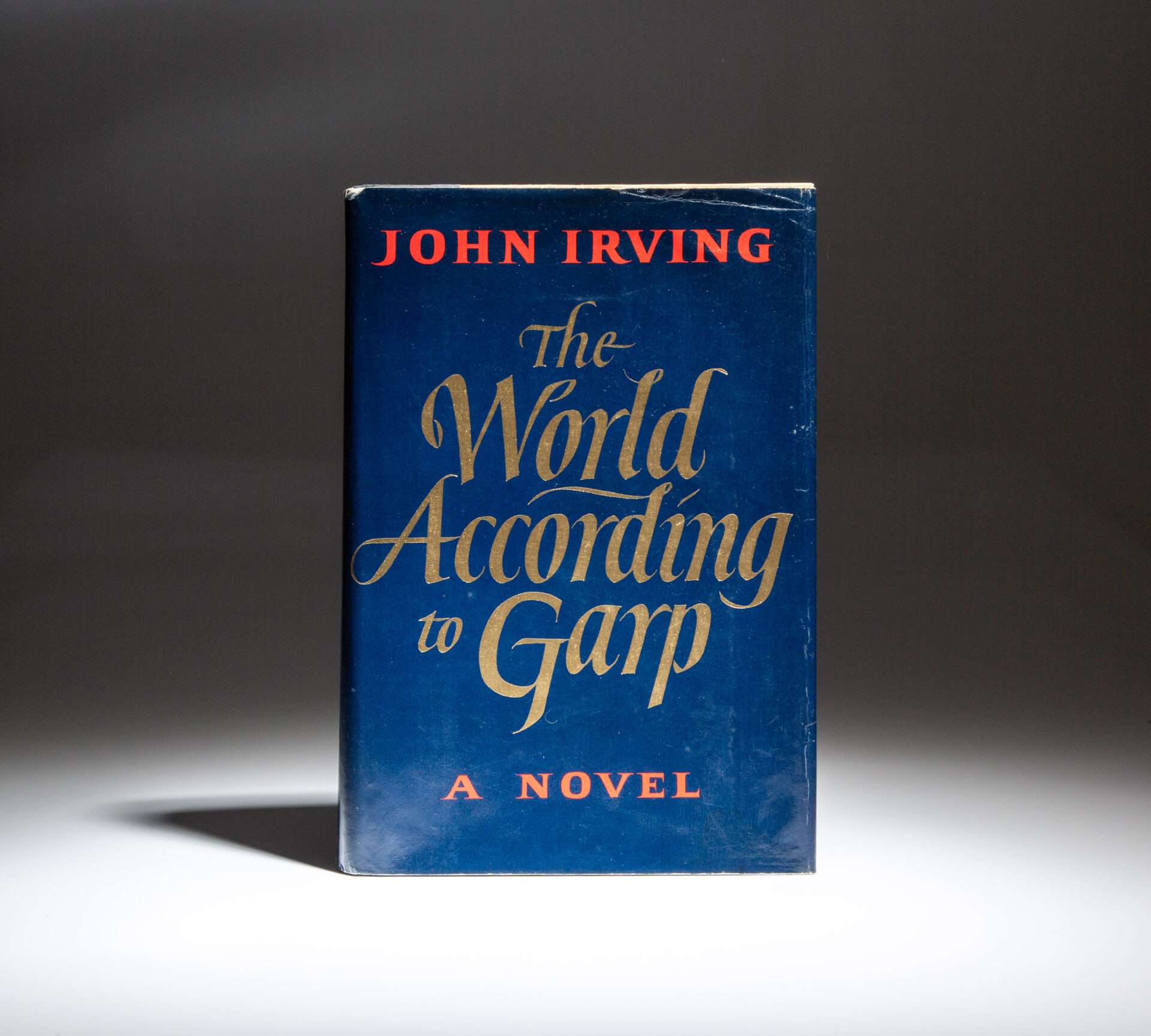 12-extraordinary-facts-about-the-world-according-to-garp-john-irving