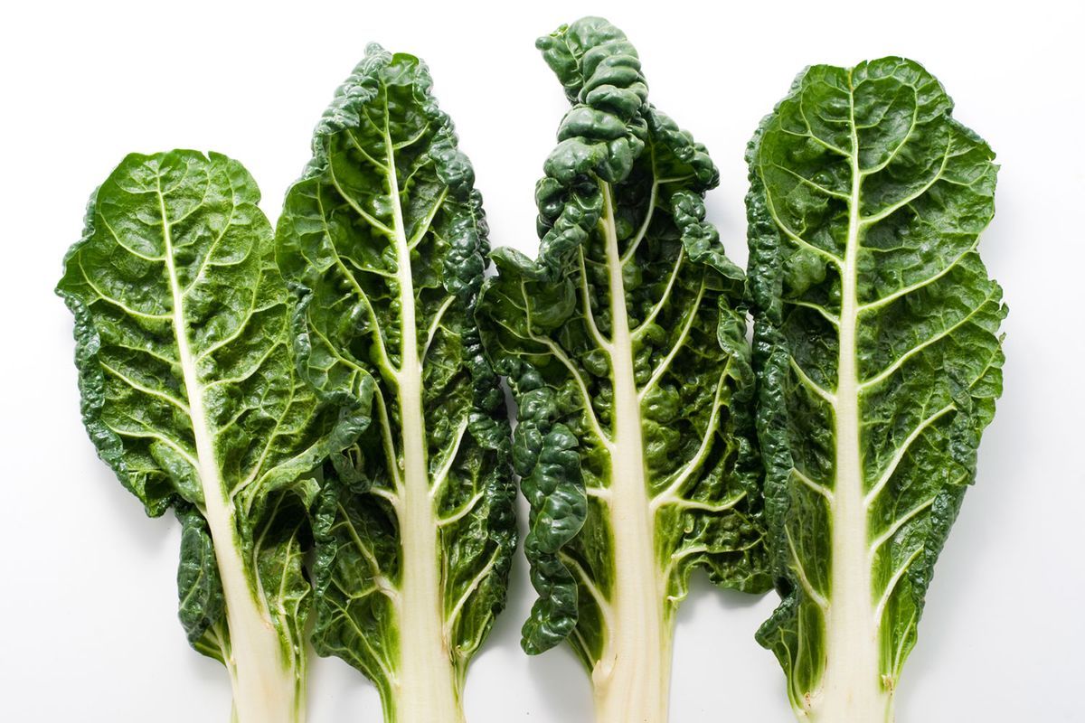 12-facts-about-silverbeet