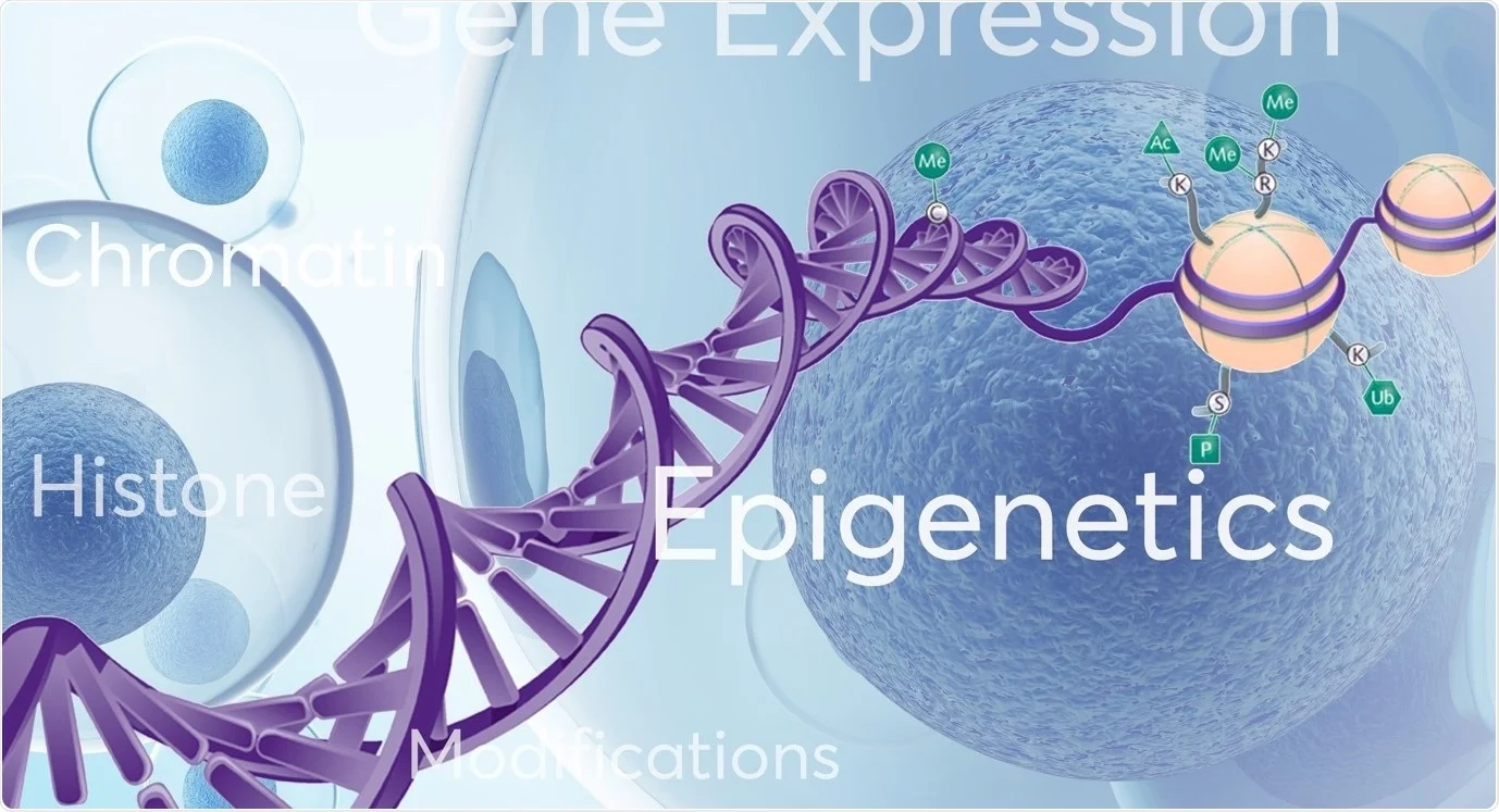 12-fascinating-facts-about-epigenetics