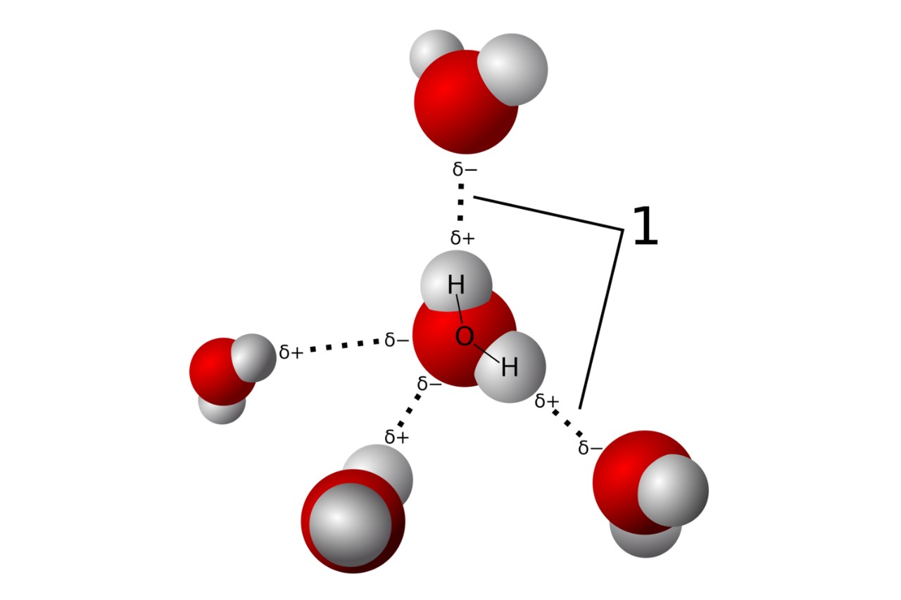 12-fascinating-facts-about-hydrogen-bonding