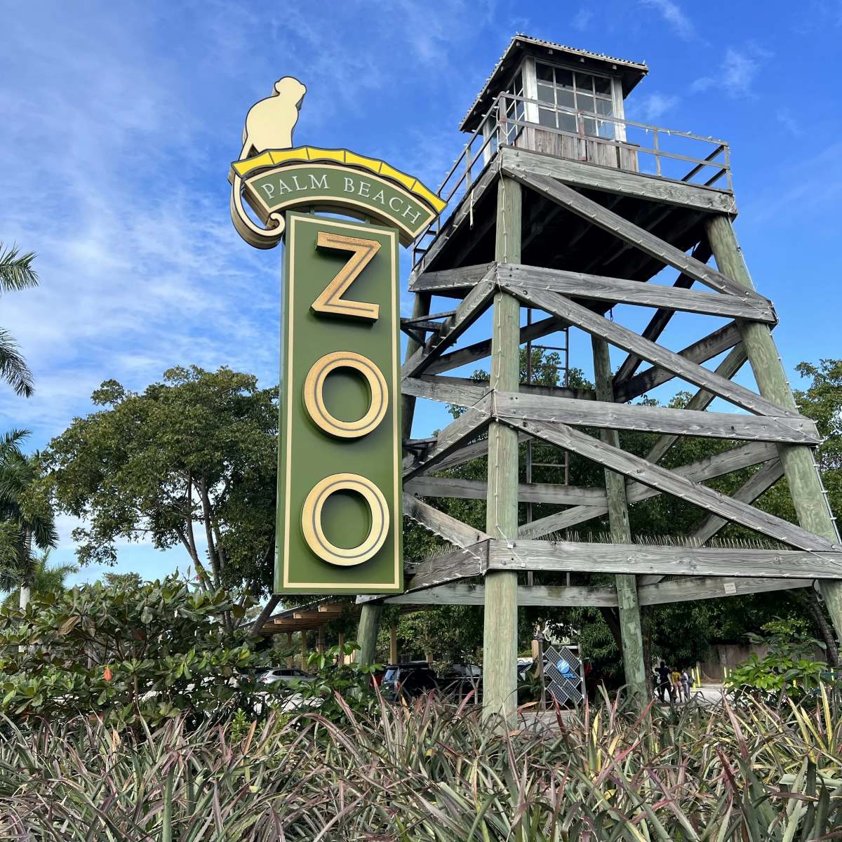 12-fascinating-facts-about-palm-beach-zoo