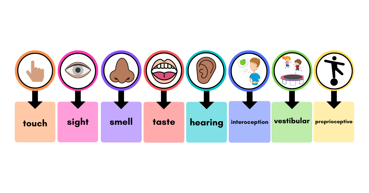 12-intriguing-facts-about-sensory-system