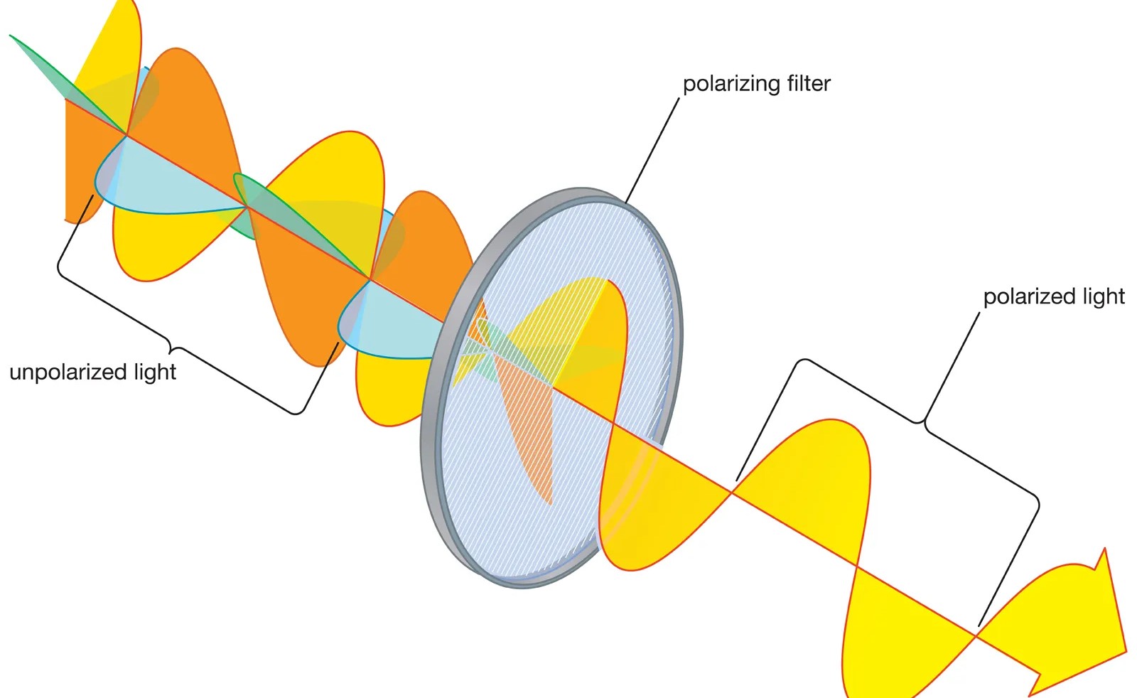 12-mind-blowing-facts-about-polarization-facts