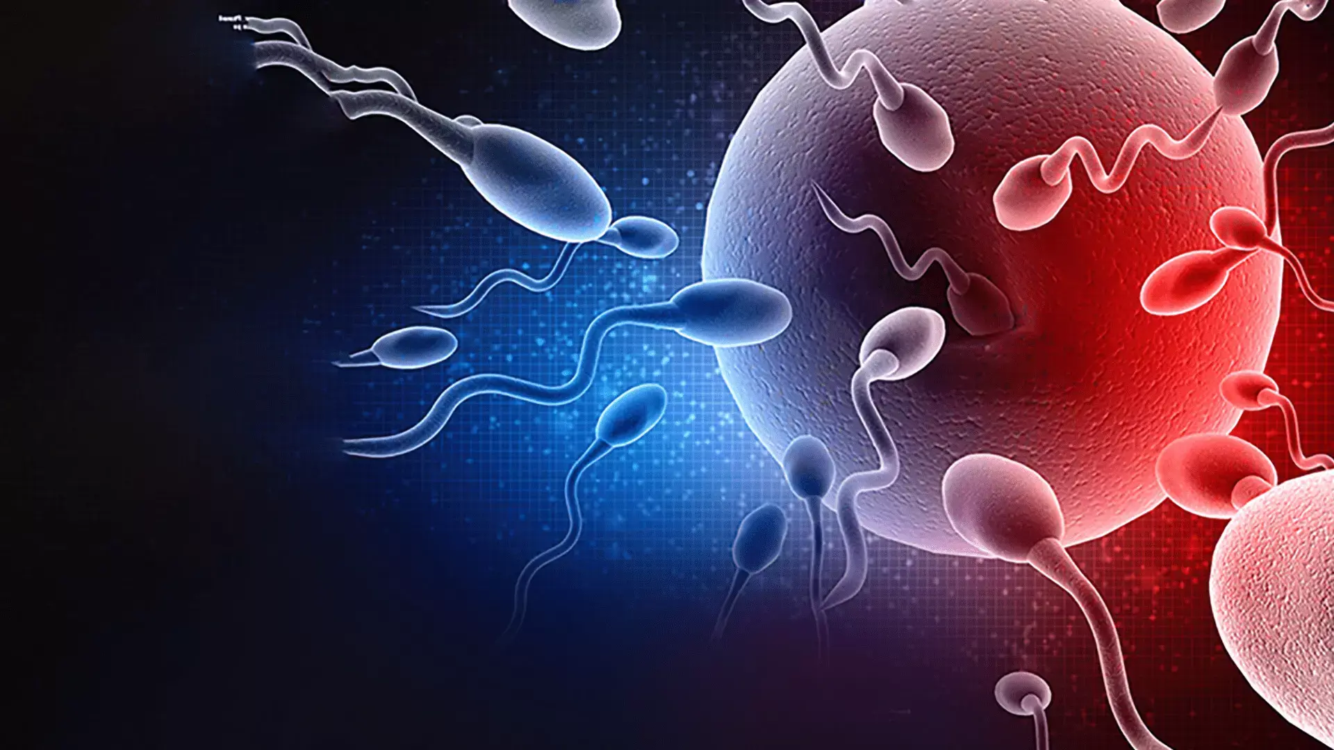 12-mind-blowing-facts-about-reproductive-physiology