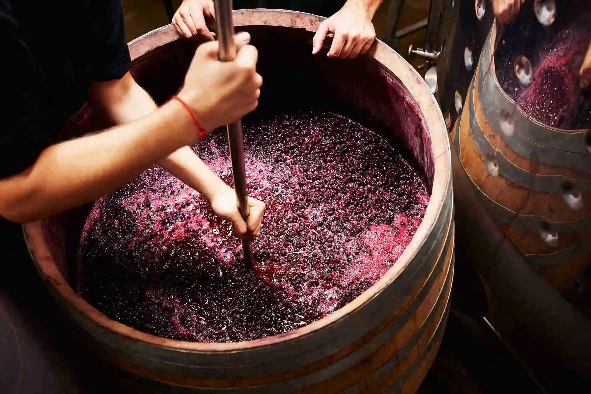 12-surprising-facts-about-alcohol-fermentation