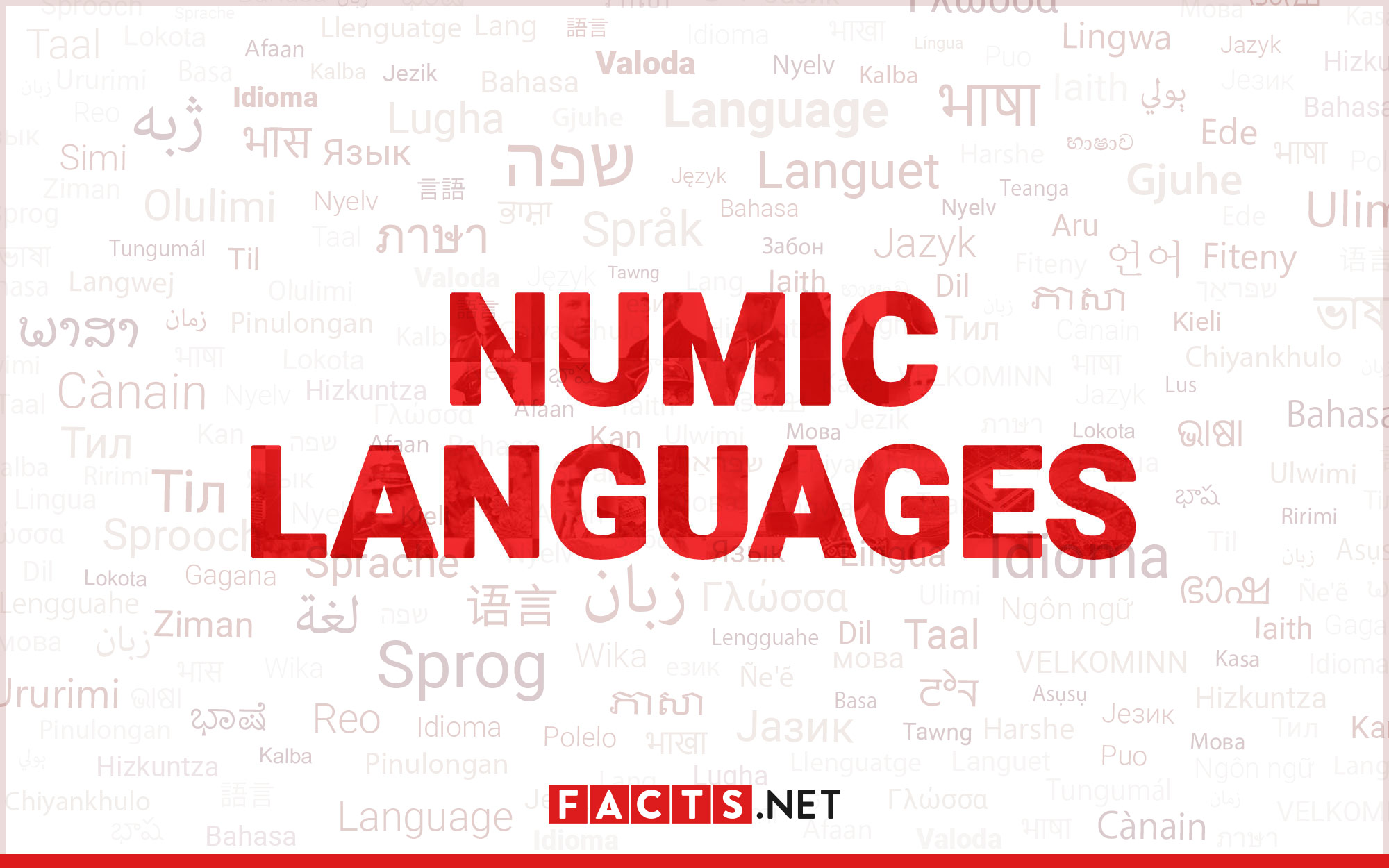 12-surprising-facts-about-numic-languages