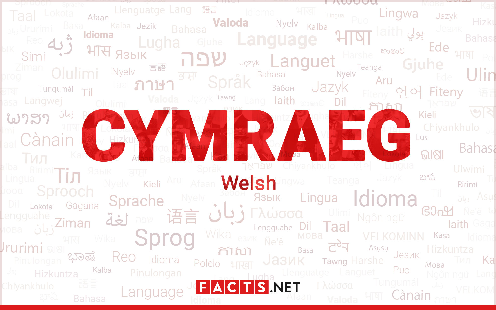 12-surprising-facts-about-welsh-language
