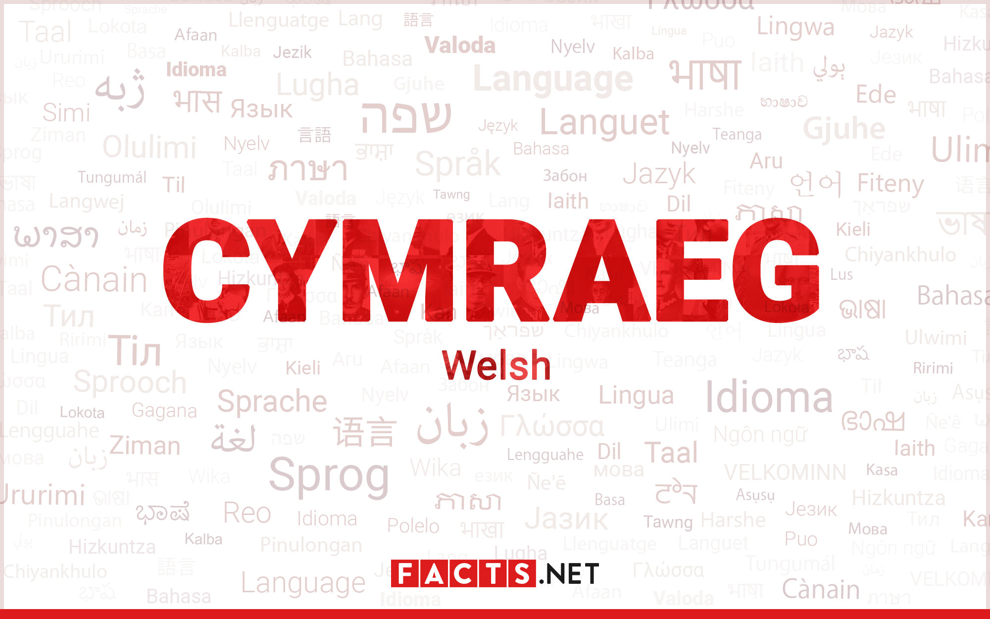 Welsh Language