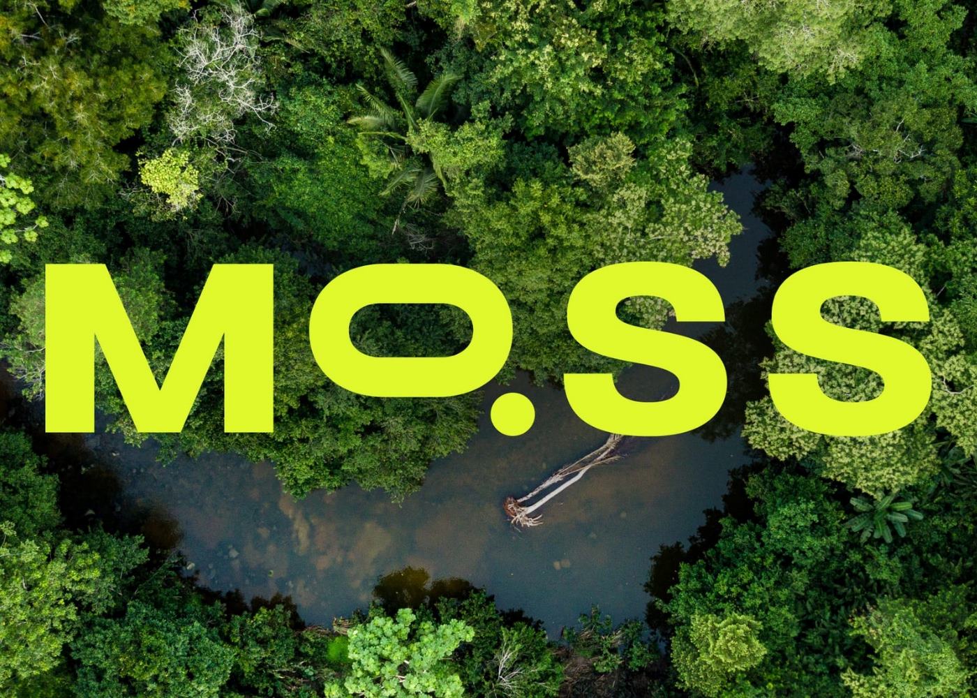 13-astonishing-facts-about-moss-carbon-credit-mco2