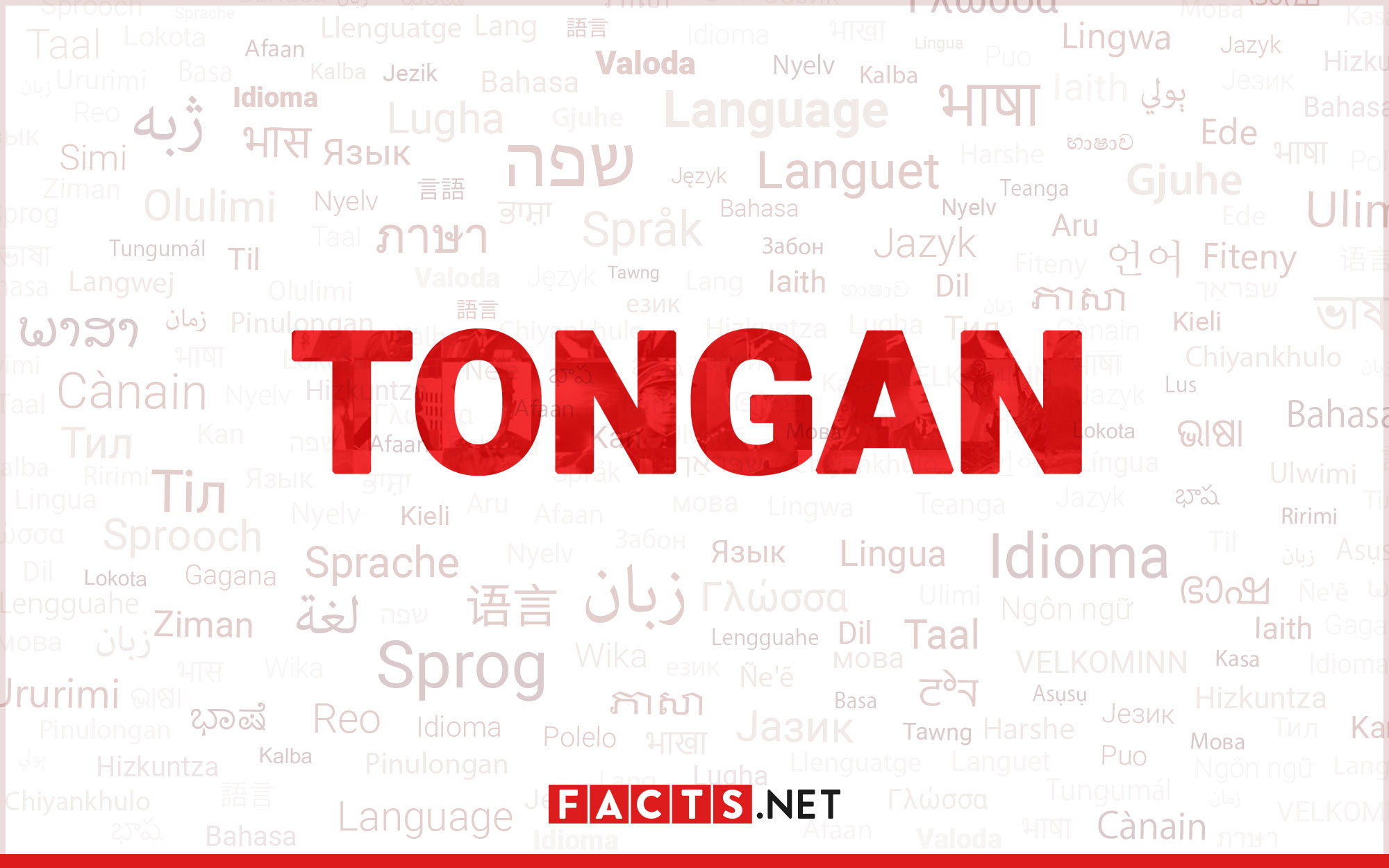 13-astonishing-facts-about-tongan