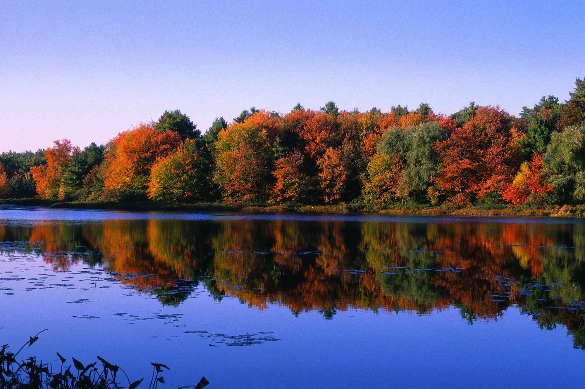 13-astounding-facts-about-walden-pond